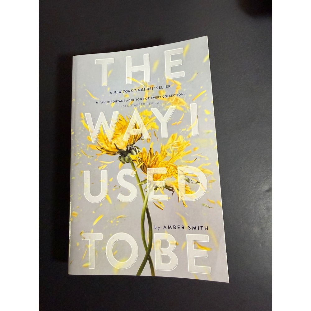 The Way I Used to Be by Amber Smith Paperback YA Fiction 2017 First Edition